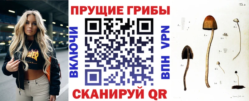 Галлюциногенные грибы MAGIC MUSHROOMS  Купить где  Сердобск 